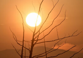 Norilsk residents cheer about sun