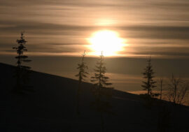 Full solar disk to be greeted with holiday