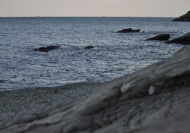 Arctic University sets record for research projects