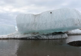 Arctic ocean to thaw every summer