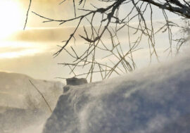 Astronomical spring to arrive in Northern hemisphere on March 20