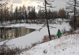 Russia to promote Arctic tourism to foreigners