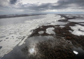 Scientists found ancient sled in Arctic
