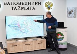 Norilsk children discover Krasnoyarsk region’s nature reserves