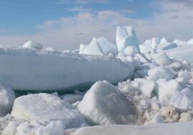 Lifetime dedicated to Arctic