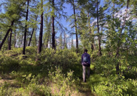 Three million tourists visited Russian North