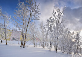 Scientists develop climate monitoring system for Arctic