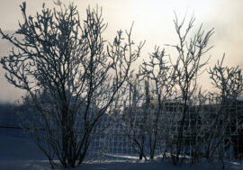 Schoolchildren in India write Arctic dictation