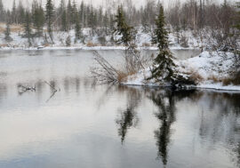 St. Petersburg museum unveils Arctic-themed exhibition projects